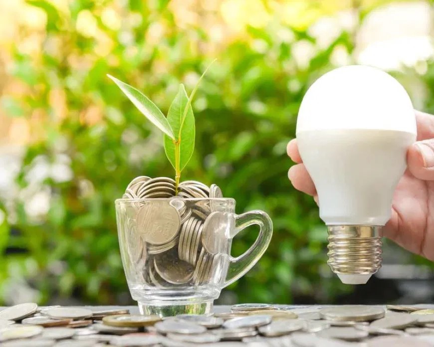 LED Light Bulbs & Fixtures